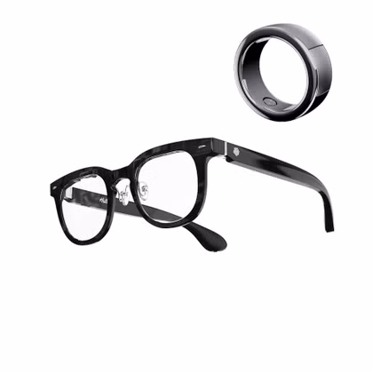 Halliday AI Glasses